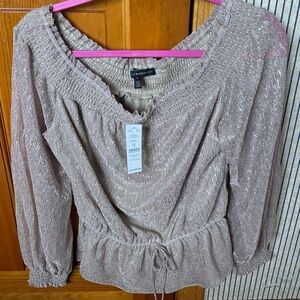 Zara Metallic Beige Blouse